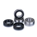 Factory Links Rear wheel bearing set for Talon rims