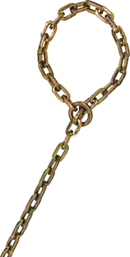 ABUS Chain KS/9 Loop Chaîne de verrouillage Or 250 cm