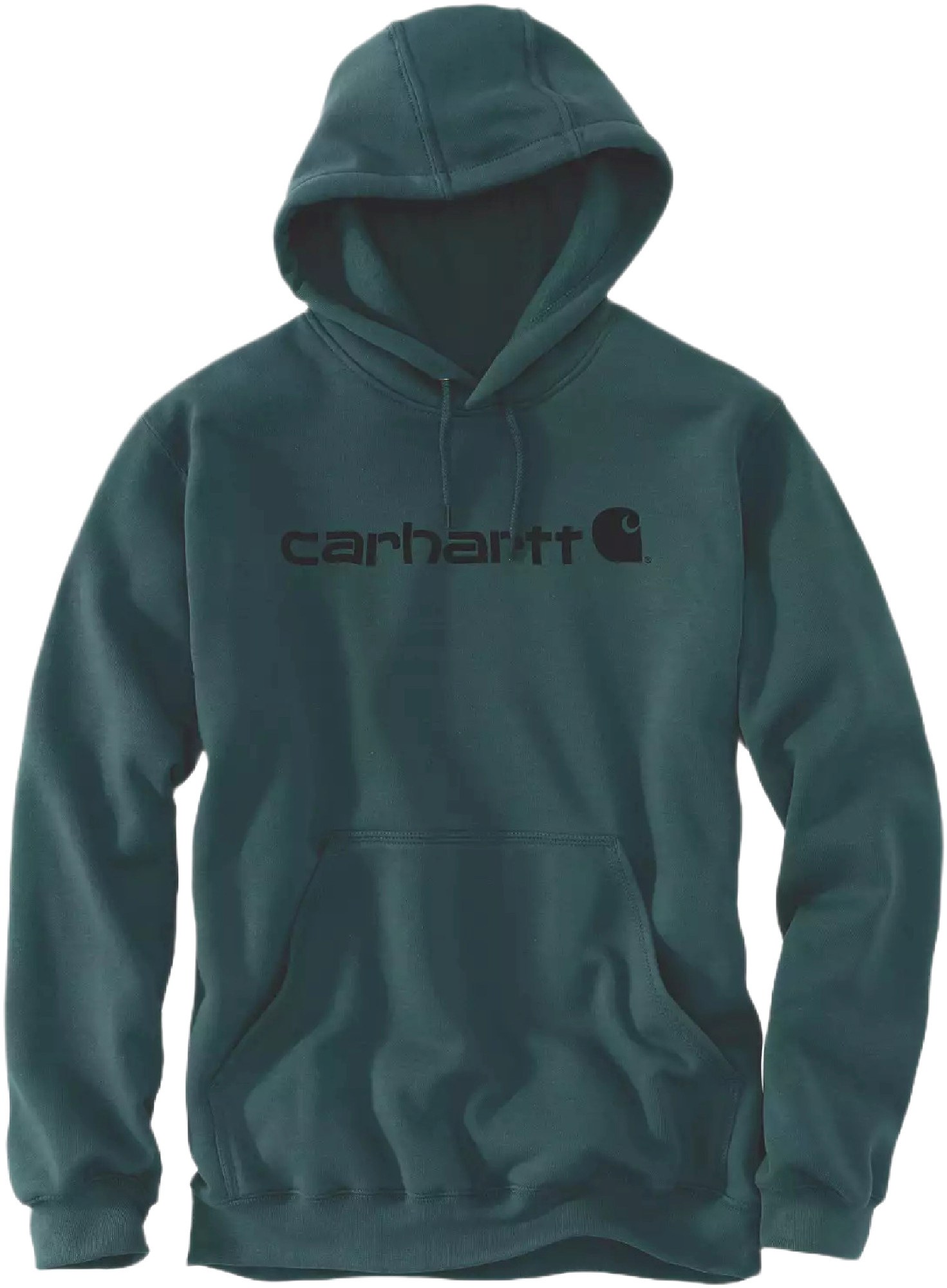 Carhartt Signature Logo Midweight Capuche, noir-vert, taille XS pour Hommes