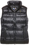 Blauer USA Vers le bas veste Dame