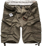 Surplus Division Shorts