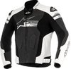 Preview image for Alpinestars Fuji Motorcycle Leather Jacket
