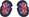 Oxford Union Jack Controles deslizantes de joelho