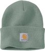 Carhartt Watch Hat