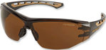 Carhartt Easely Safety Glasses