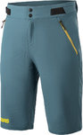 Alpinestars Rover Pro Shorts de cycliste