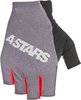 Alpinestars Ridge Plus Guants bicicleta