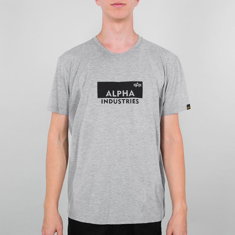 Alpha Industries Box Logo T-shirt, grå, storlek XL