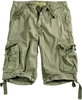 Preview image for Alpha Industries Jet Shorts