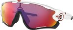 Oakley Jawbreaker Prizm Solbriller