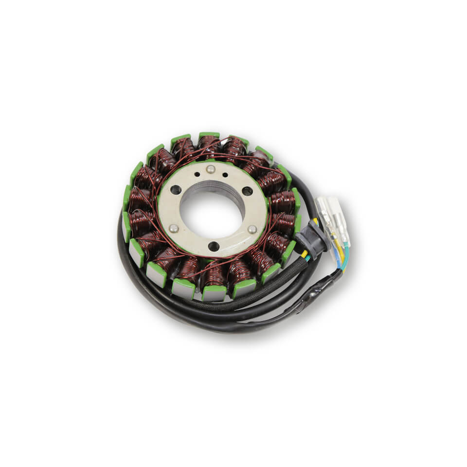 ElectroSport Stator ESG024 for alternator