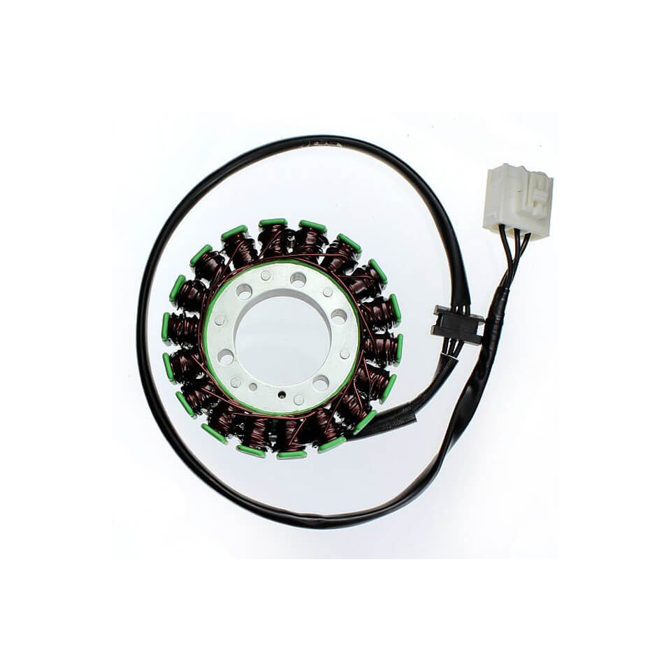 ElectroSport Stator ESG138 for alternator