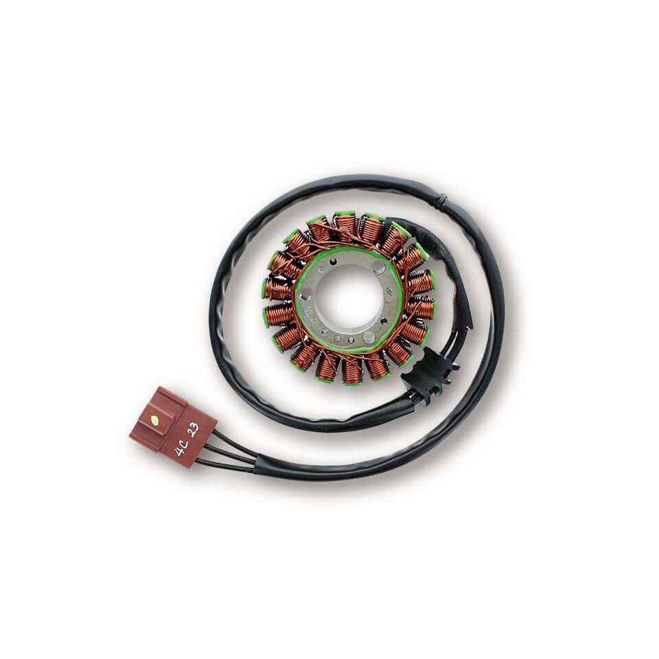 ElectroSport Stator ESG198 for alternator