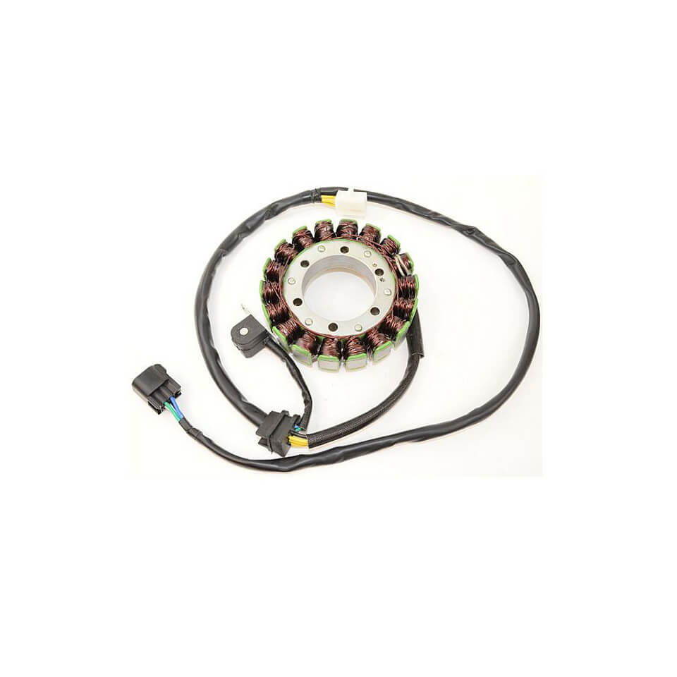 ElectroSport Stator ESG309 for alternator
