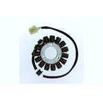 Cargador ElectroSport ESG305 para alternador