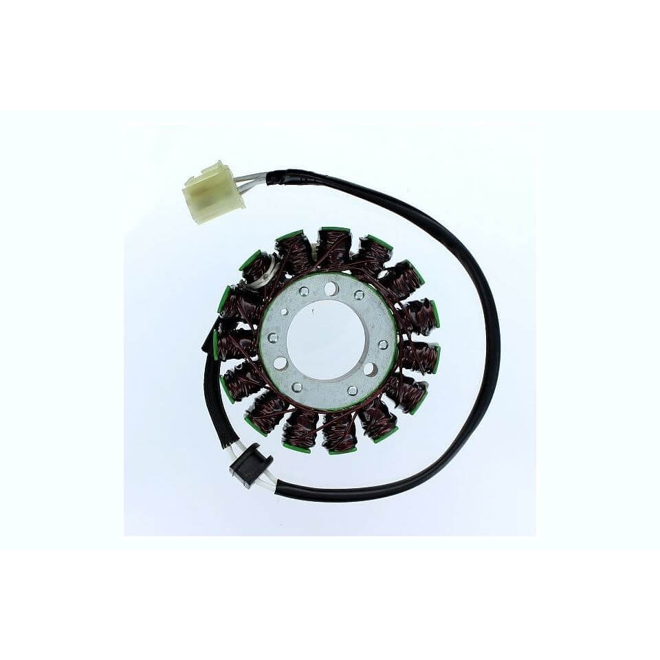 Cargador ElectroSport ESG305 para alternador