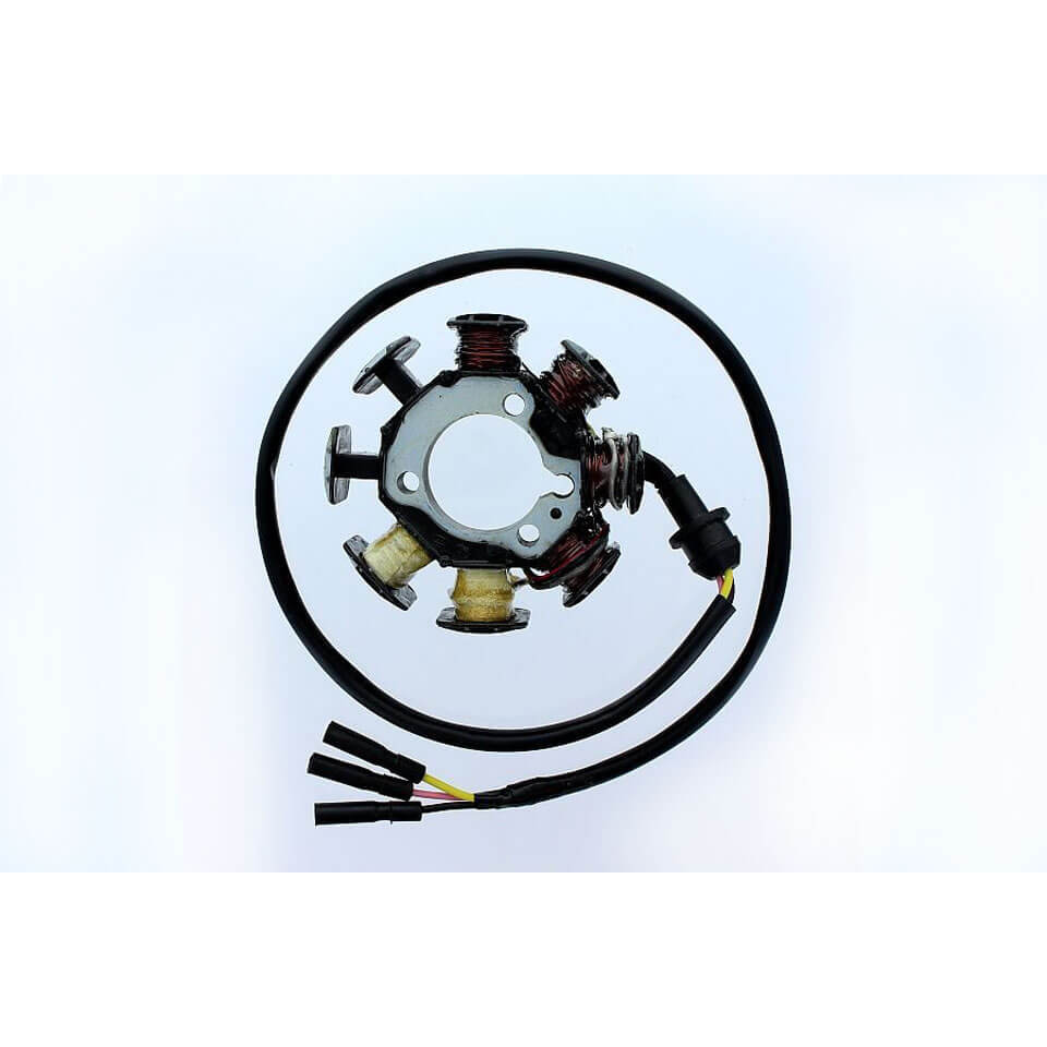 ElectroSport Stator ESG212 per alternatore