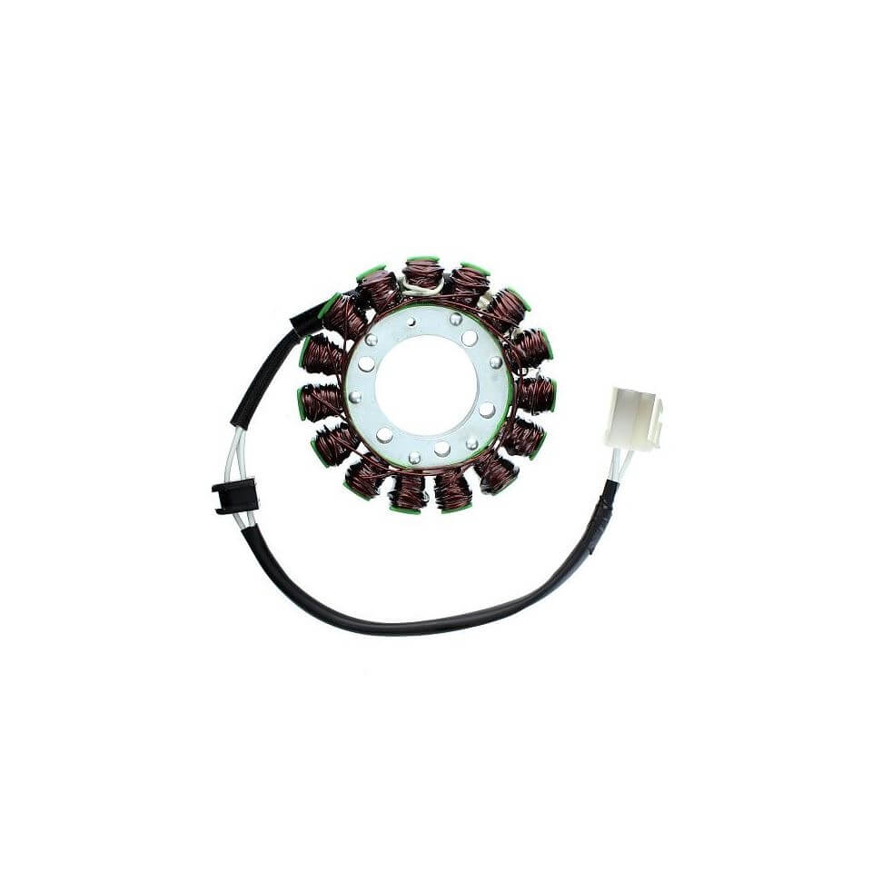 ElectroSport Stator ESG223 for alternator