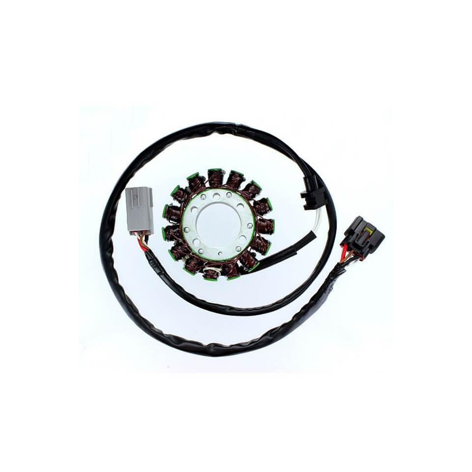 ElectroSport Stator ESG549 for alternator