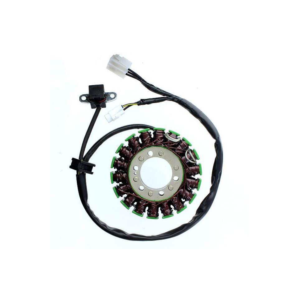 ElectroSport Stator ESG793 for alternator