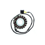 ElectroSport Stator ESG963 per alternatore