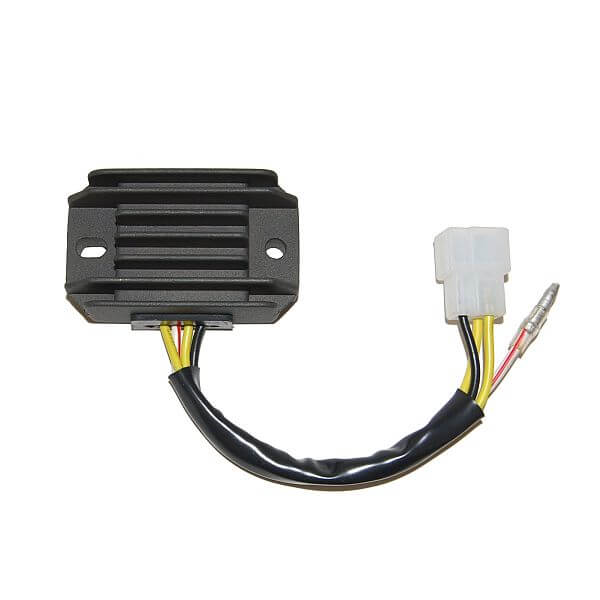 ElectroSport Charge controller ESR 600