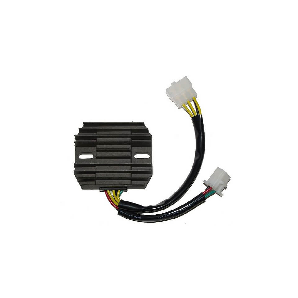 ElectroSport Charge controller ESR 210
