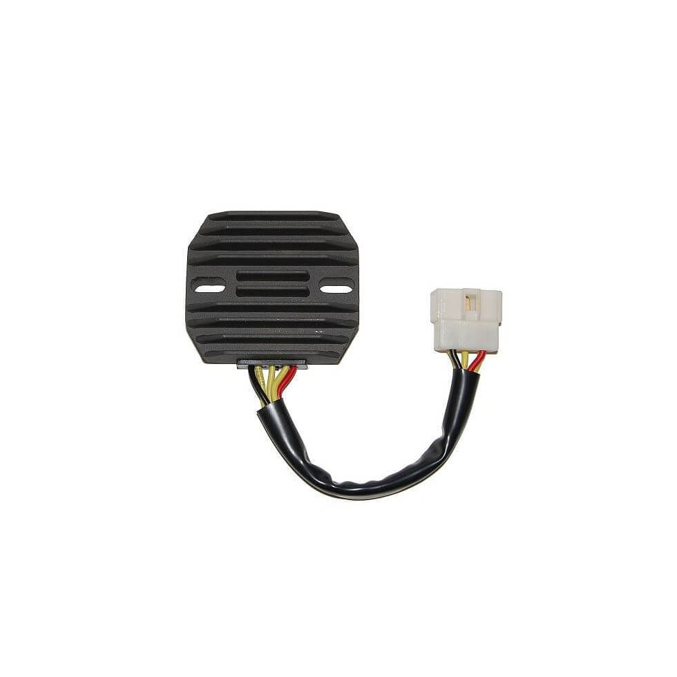 Controlador de carga ElectroSport ESR 261