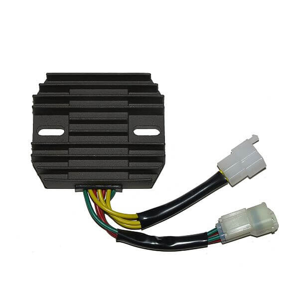 ElectroSport Charge controller ESR 124