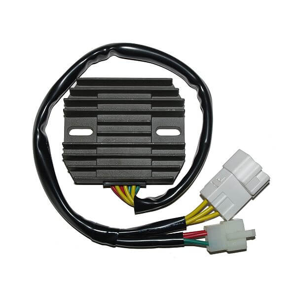 ElectroSport Charge controller ESR 436