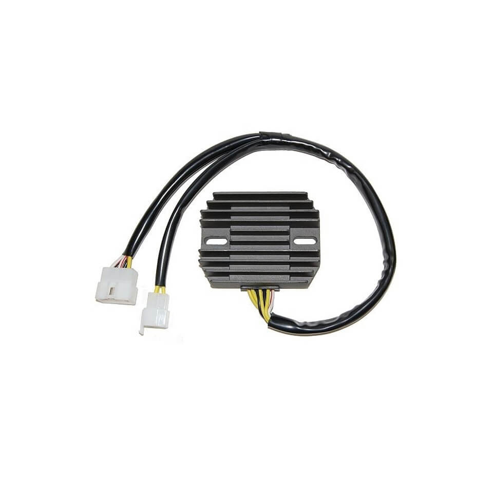 ElectroSport Charge controller ESR 310