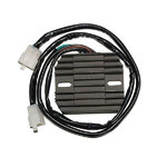Controllore di carica ElectroSport ESR 448