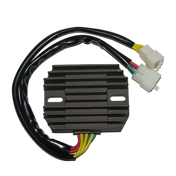 ElectroSport Charge controller ESR 531