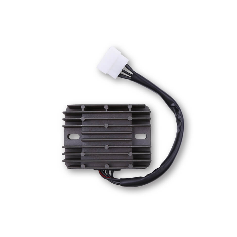 ElectroSport Charge controller ESR 547