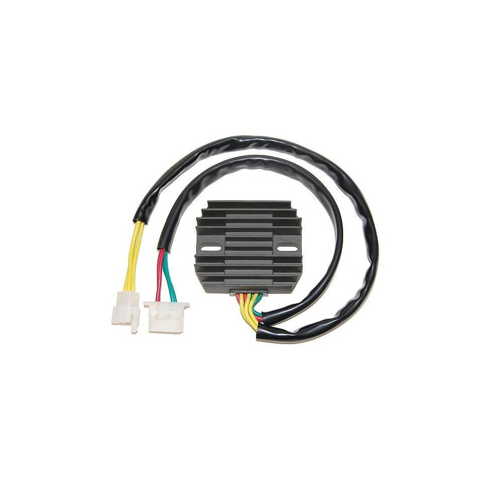 ElectroSport Charge controller ESR 641