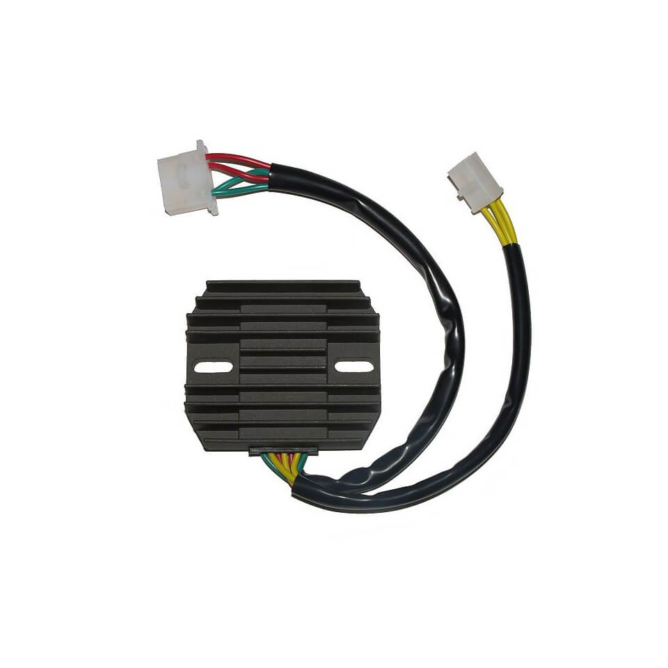 ElectroSport Charge controller ESR 650