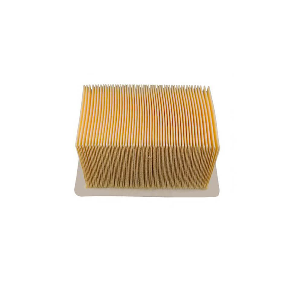 CHAMPION Air filter for BMW