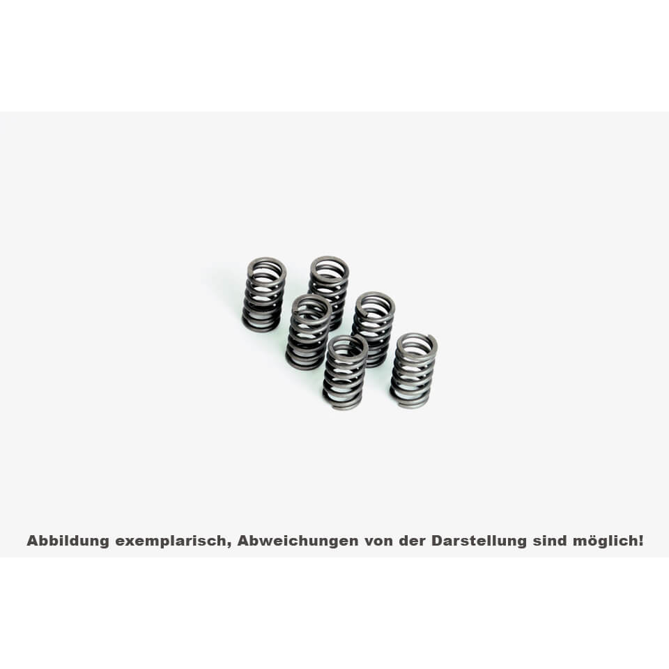 FERODO Clutch spring set FSS0116