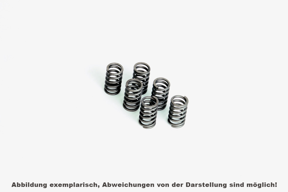 FERODO Clutch spring set FSS0315
