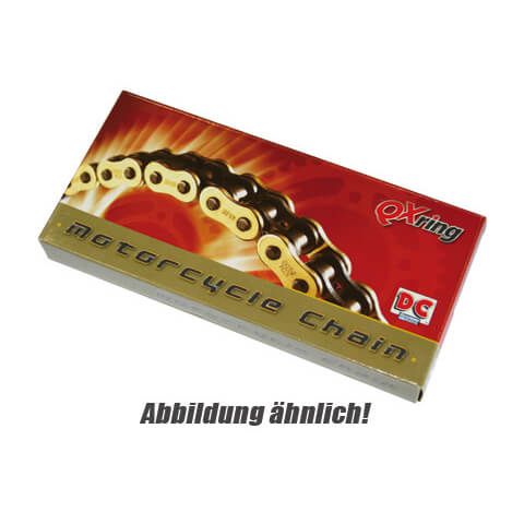 DynaChains Chain DC525MZO-98E 525 pitch (5/8x5/16) (endless riveted), silver, silver