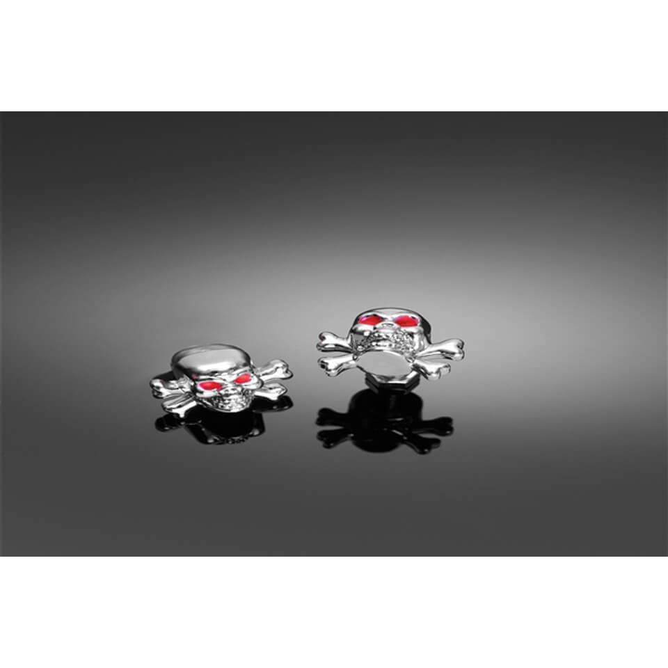 HIGHWAY HAWK HIGHWAY HAWK M6 Skull and Bones Nuts ABS in Chrome, silver, silver