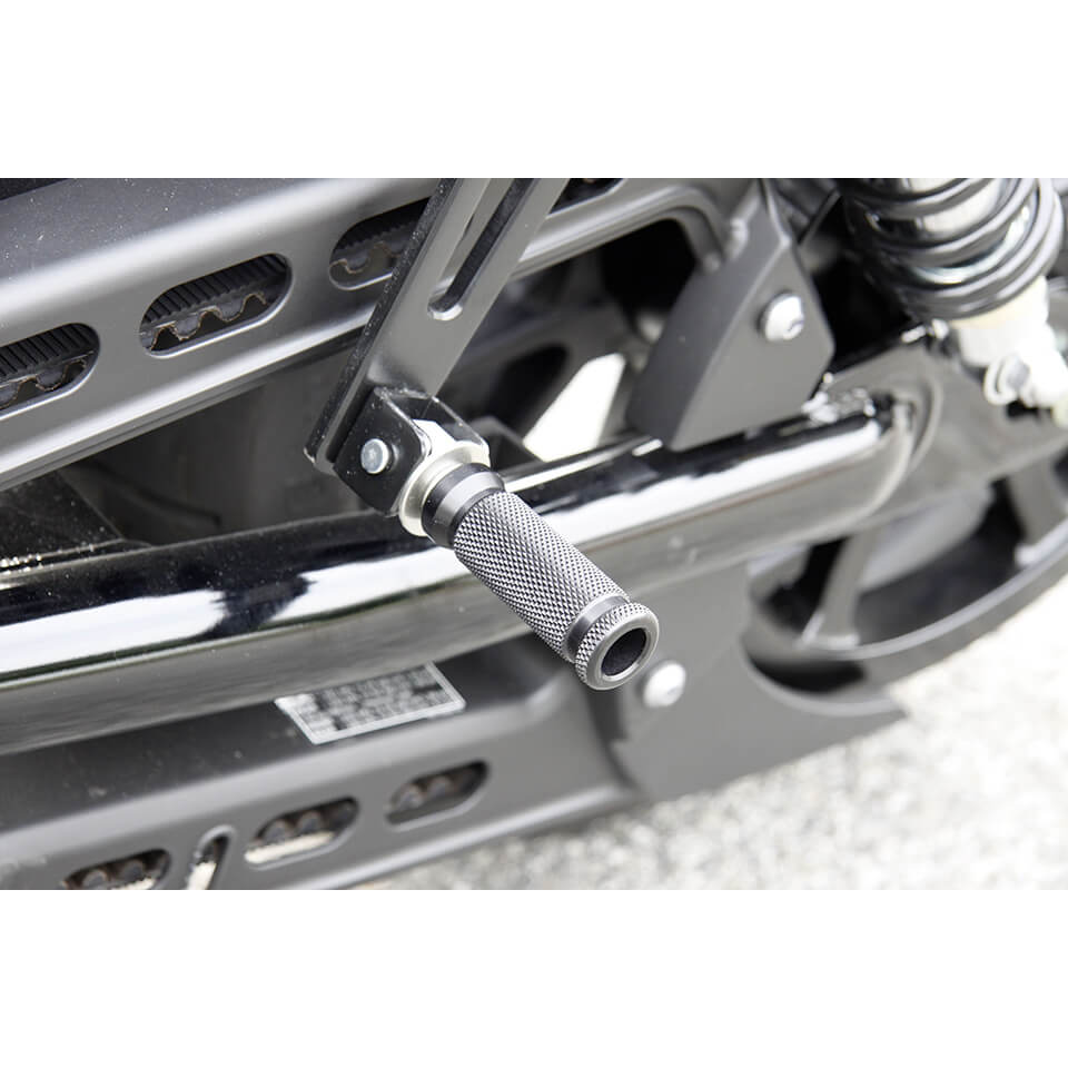 LSL Pillion seat holder foldable B014R, silver, silver