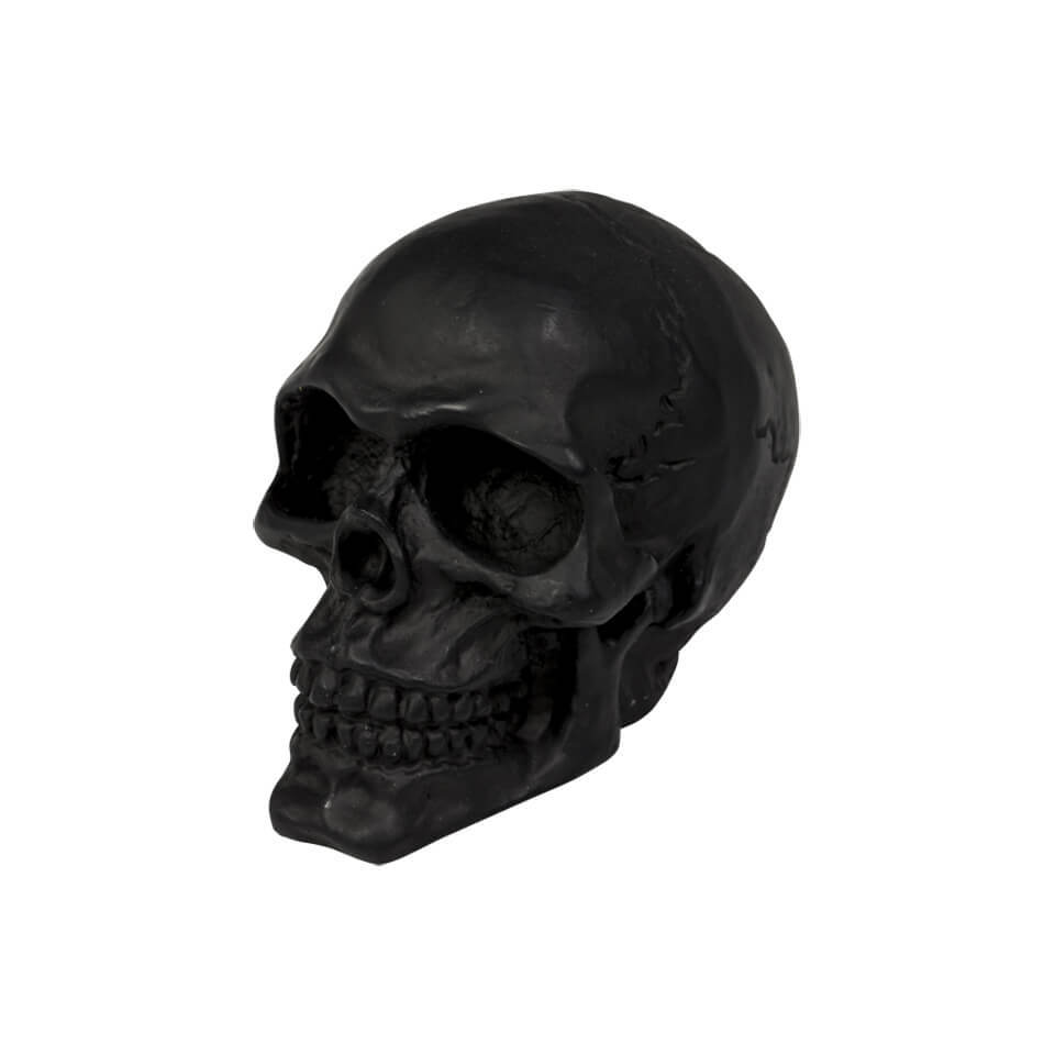 HIGHWAY HAWK Totenschädel Emblem