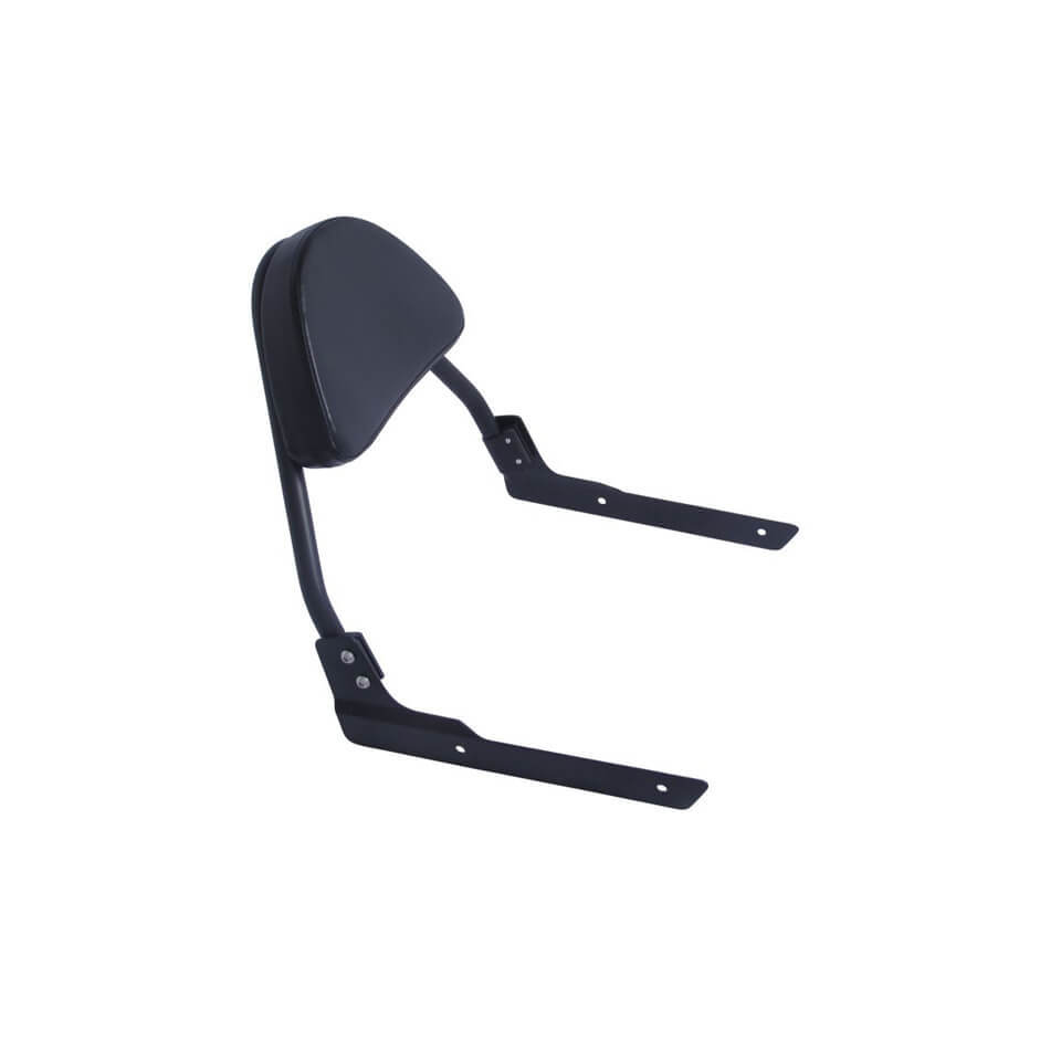 Victory hammer sissy bar store