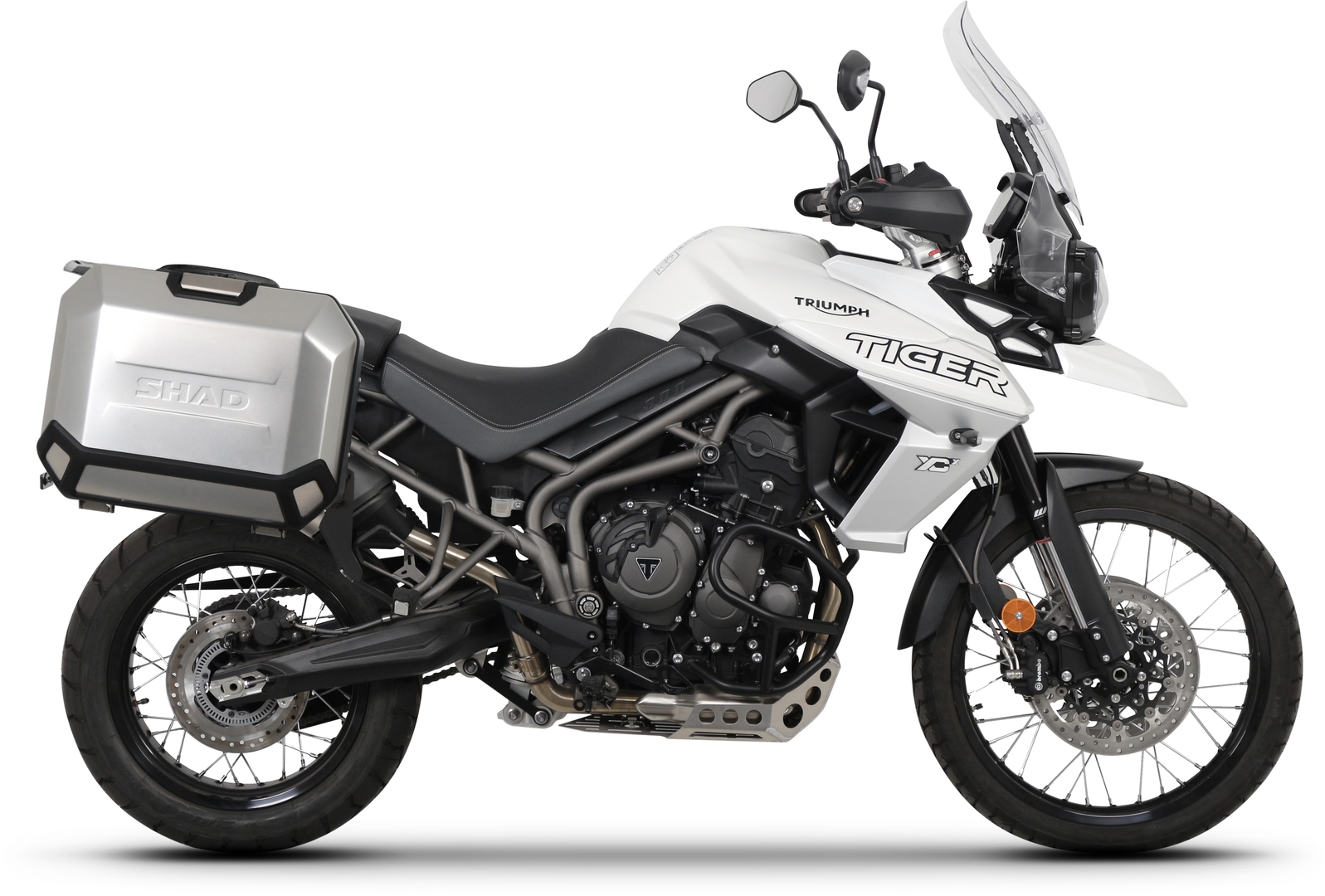 SHAD 4P SYSTEM TRIUMPH TIGER 800