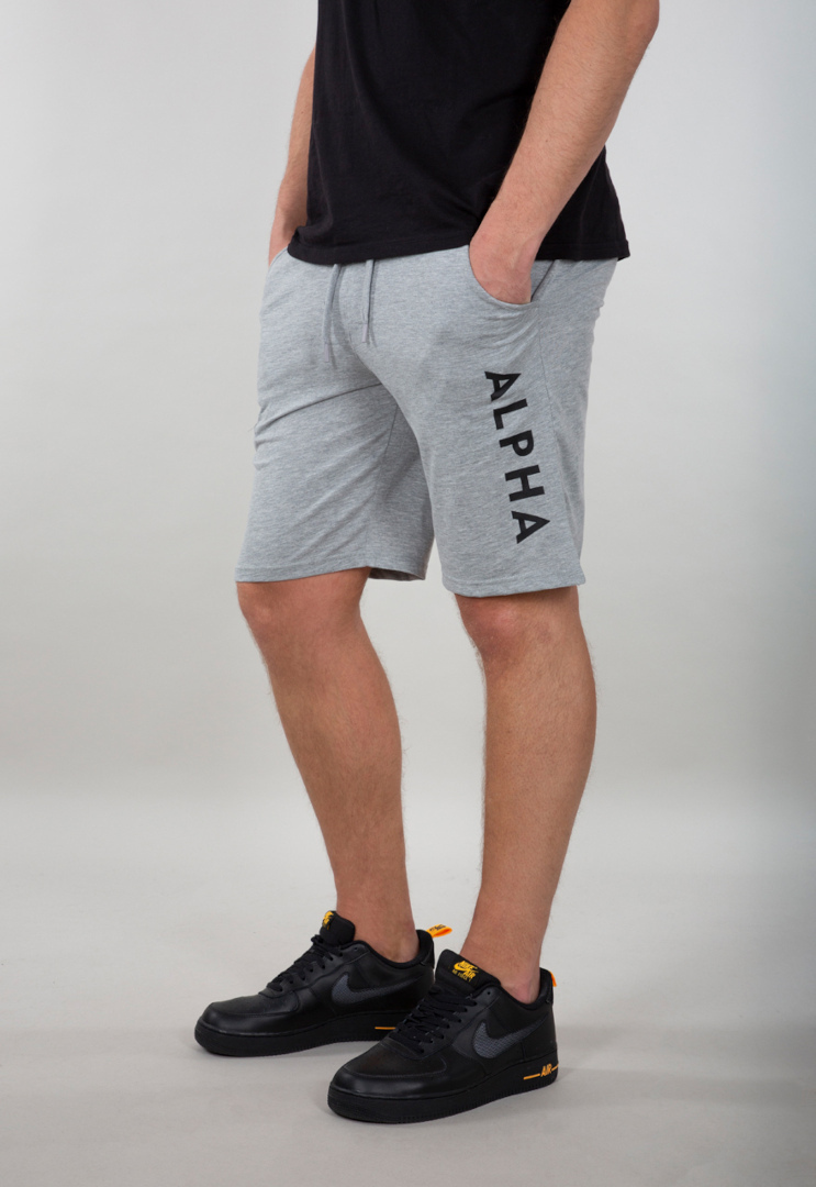 Alpha Industries Jersey Shorts, grå, storlek M