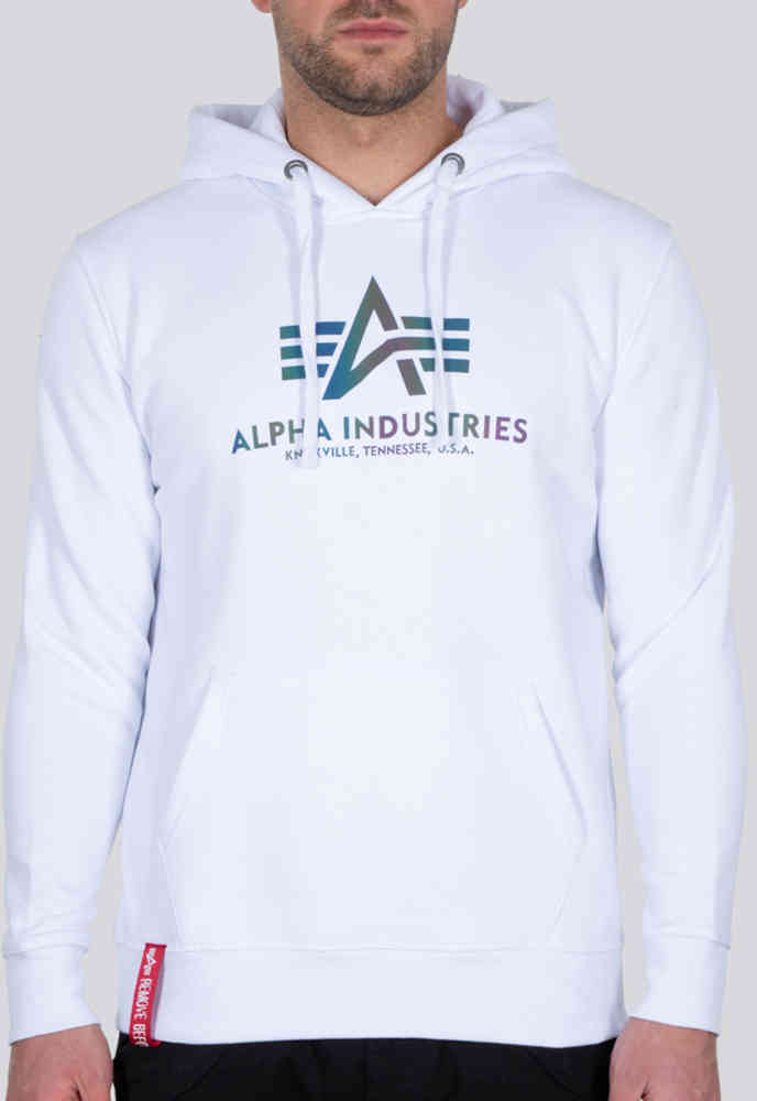 Alpha industries best sale hoodie rainbow