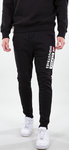 Alpha Industries Block-Logo Спортивные штаны