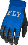Fly Racing Evolution Motocross Gloves