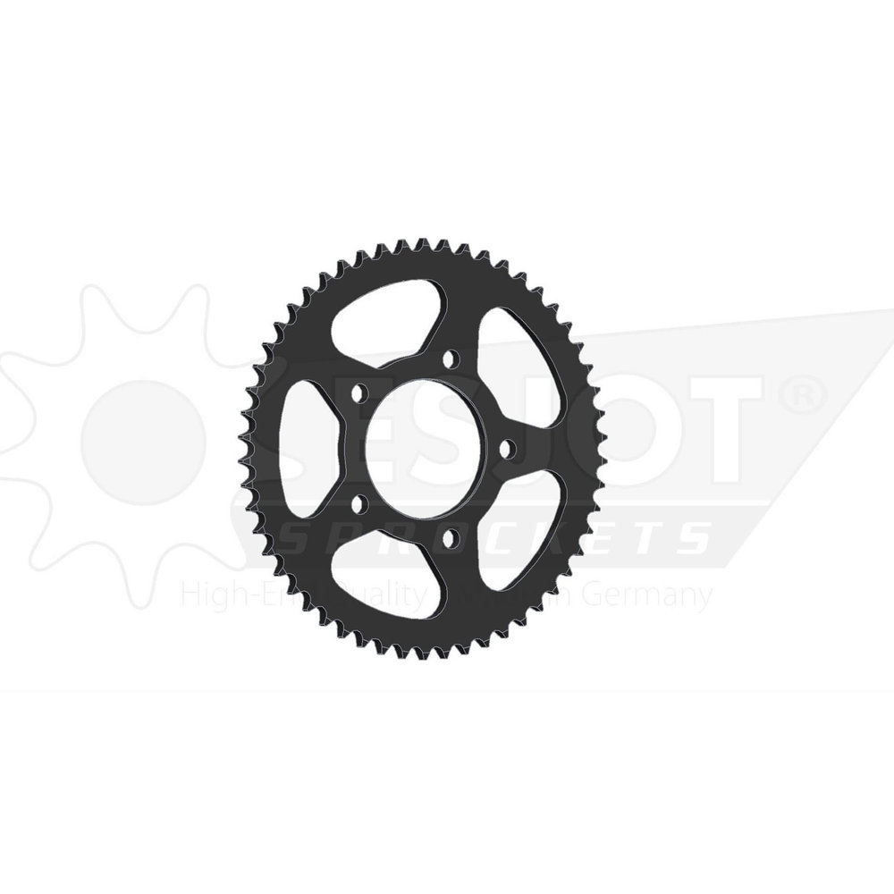 Pignone ESJOT, 54 denti, acciaio passo 428